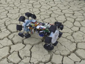 ��\�I��Cansat(�d�ʑ�͂�ւ肱)