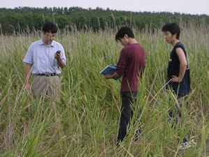 measure