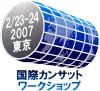 International CanSat Workshop